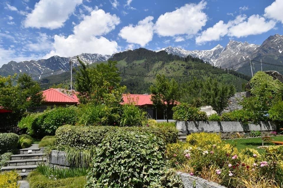 The Amrit Manali 2&3 Bhk Villas Экстерьер фото